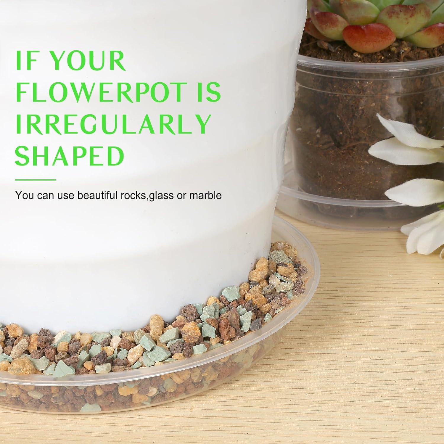 Paquete de 6 bandejas de goteo FUIJOL 25.4 cm transparentes