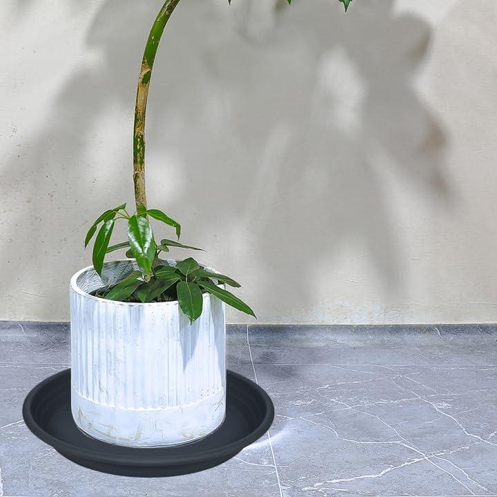 5 Paquetes de Plato para Plantas SAUCERHOME 16.5 cm Negro