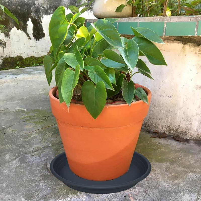 5 Paquetes de Plato para Plantas SAUCERHOME 16.5 cm Negro