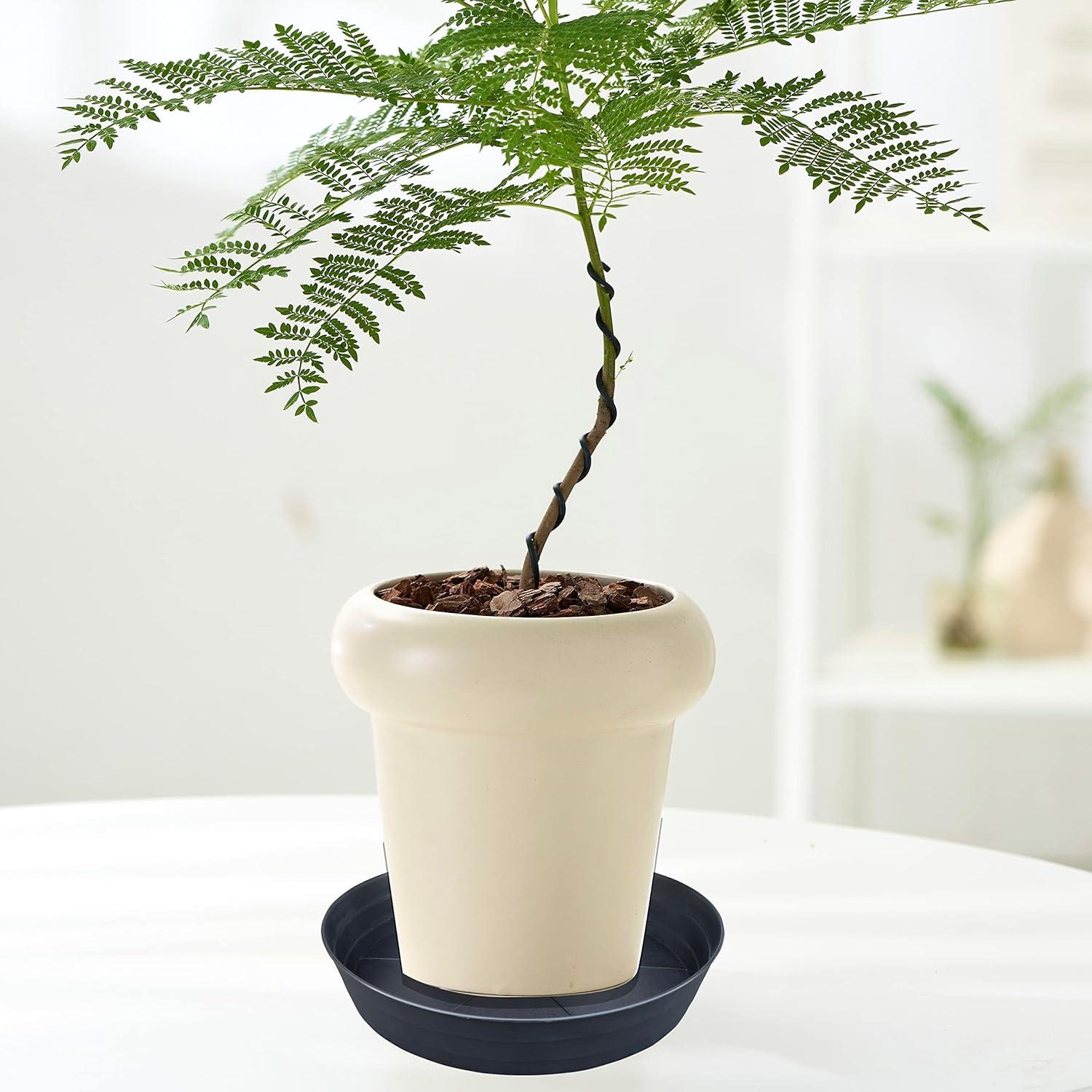 Plato para Plantas 10" Negro LWALRS - Paquete de 4, Profundo