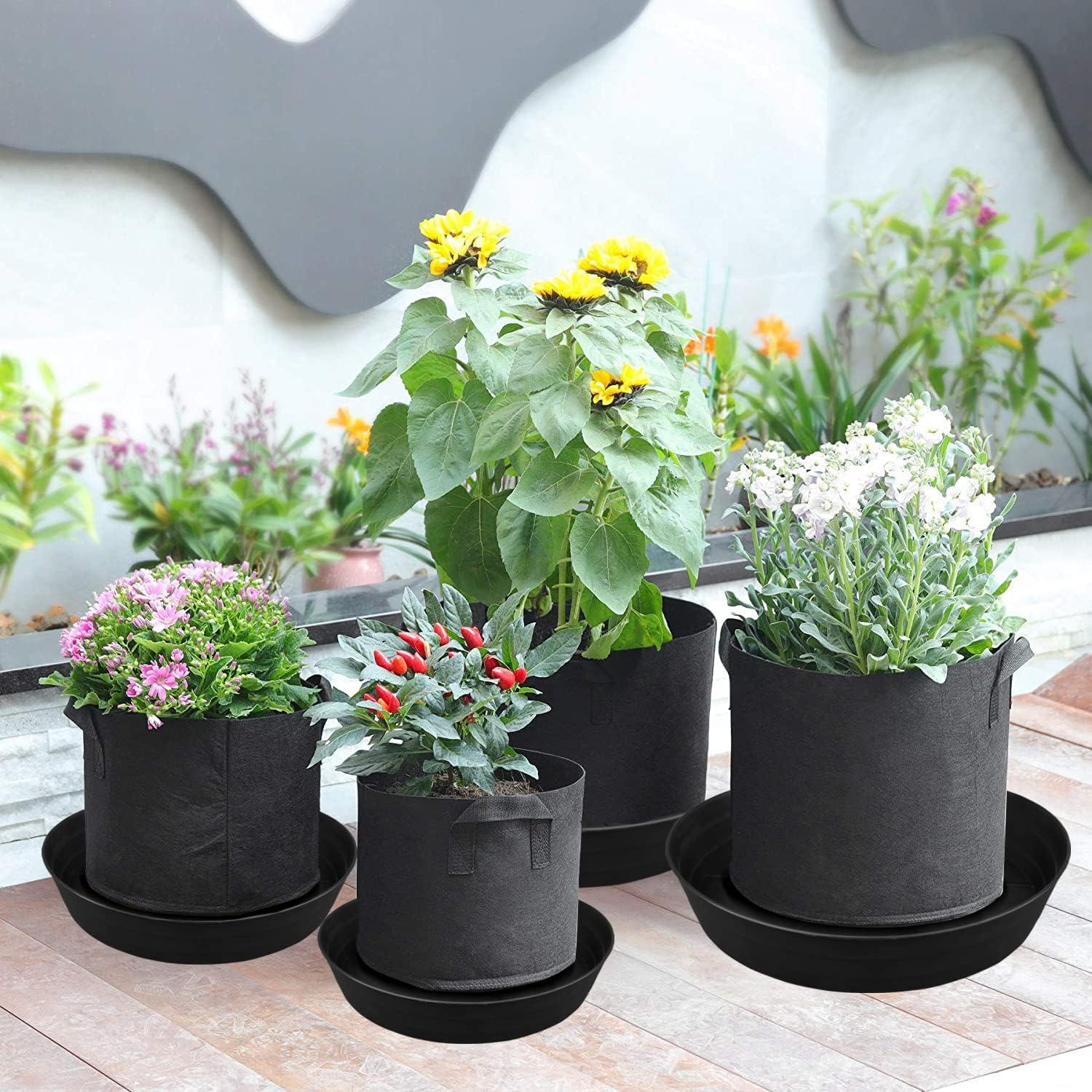Plato para Plantas 10" Negro LWALRS - Paquete de 4, Profundo