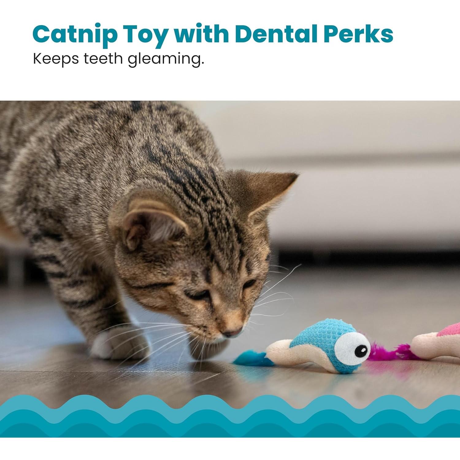 Juguete Masticar Gato Petstages Dental Shrimpies Catnip