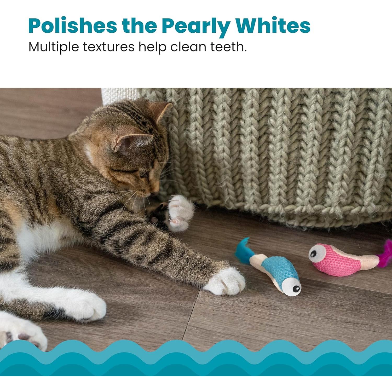 Juguete Masticar Gato Petstages Dental Shrimpies Catnip