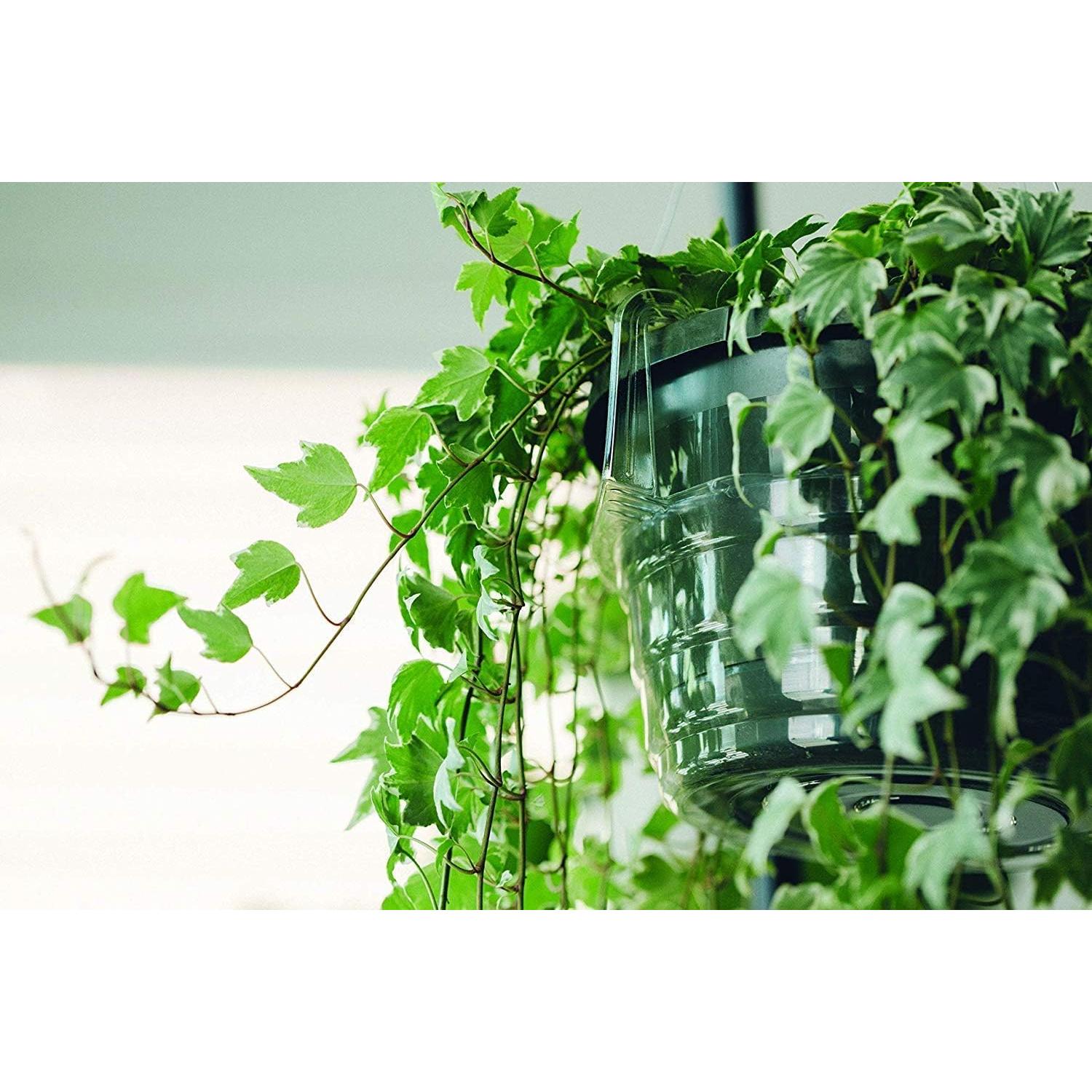 Bandejas de Goteo para Cestas Colgantes Curtis Wagner 30.5 cm - Paquete de 5