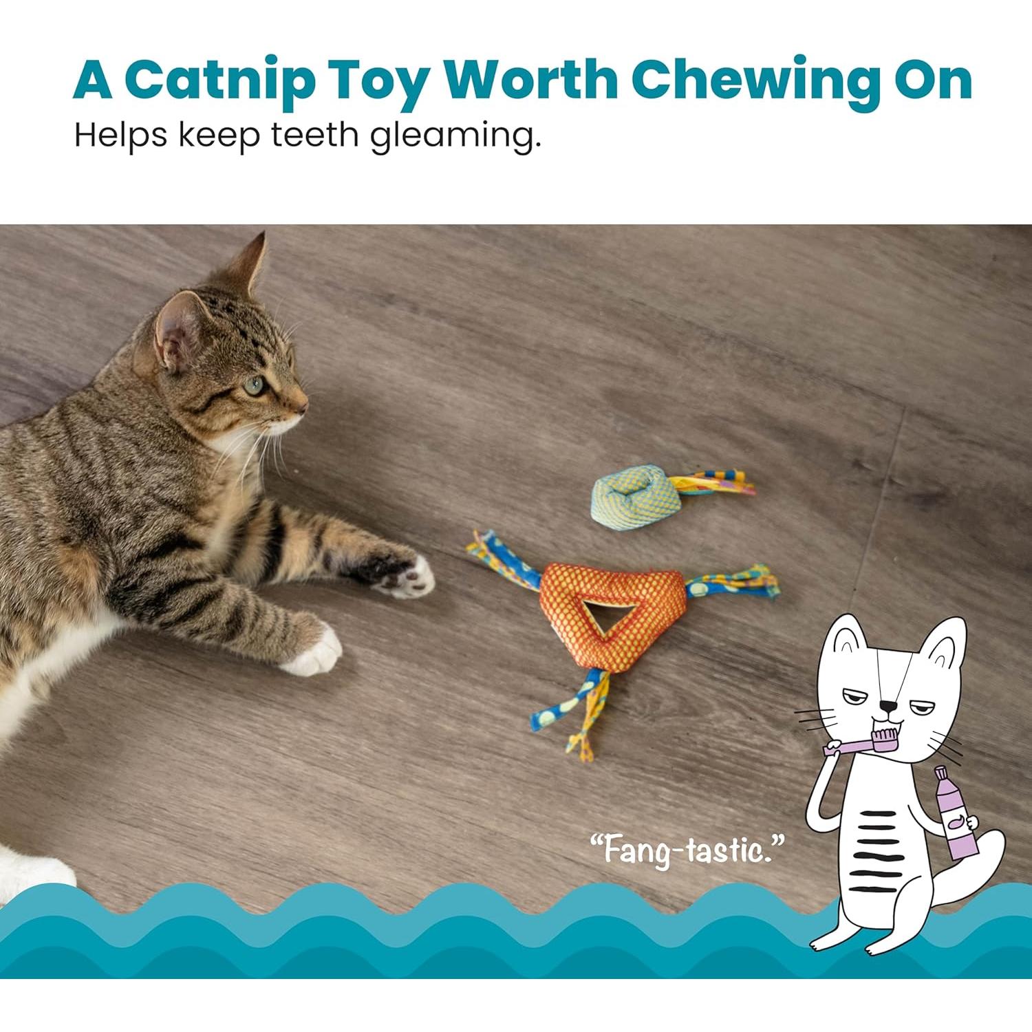 Juguete Masticable Dental Petstages 8.89x3.05cm con Catnip