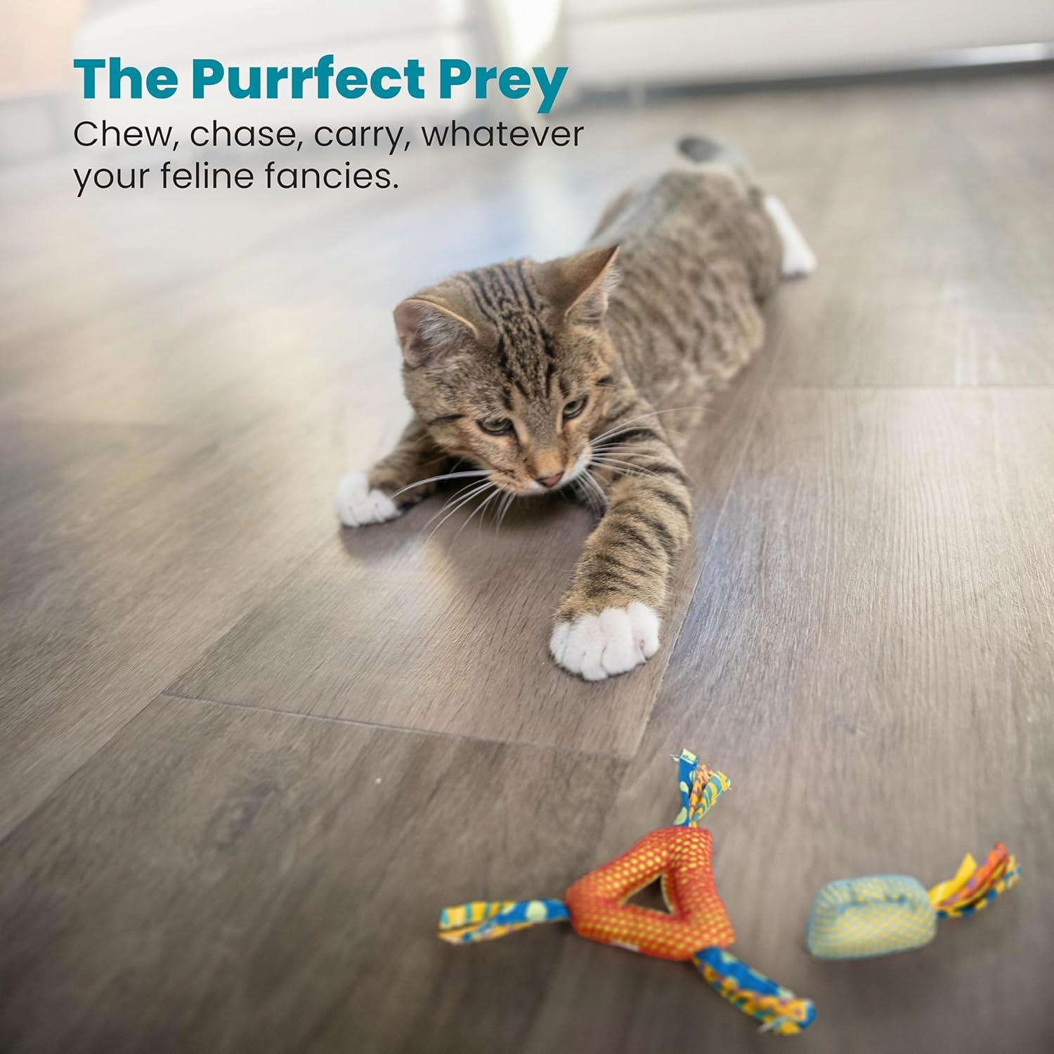 Juguete Masticable Dental Petstages 8.89x3.05cm con Catnip