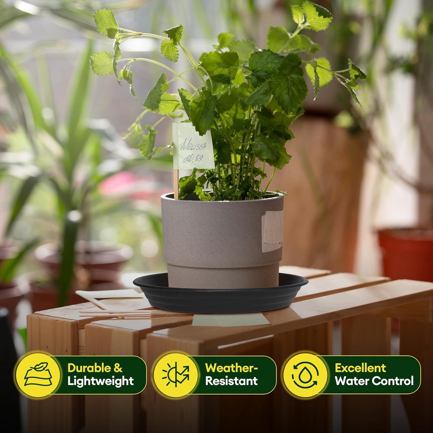 Paquete de 4 platos para plantas Maygrove 20 cm multicolor