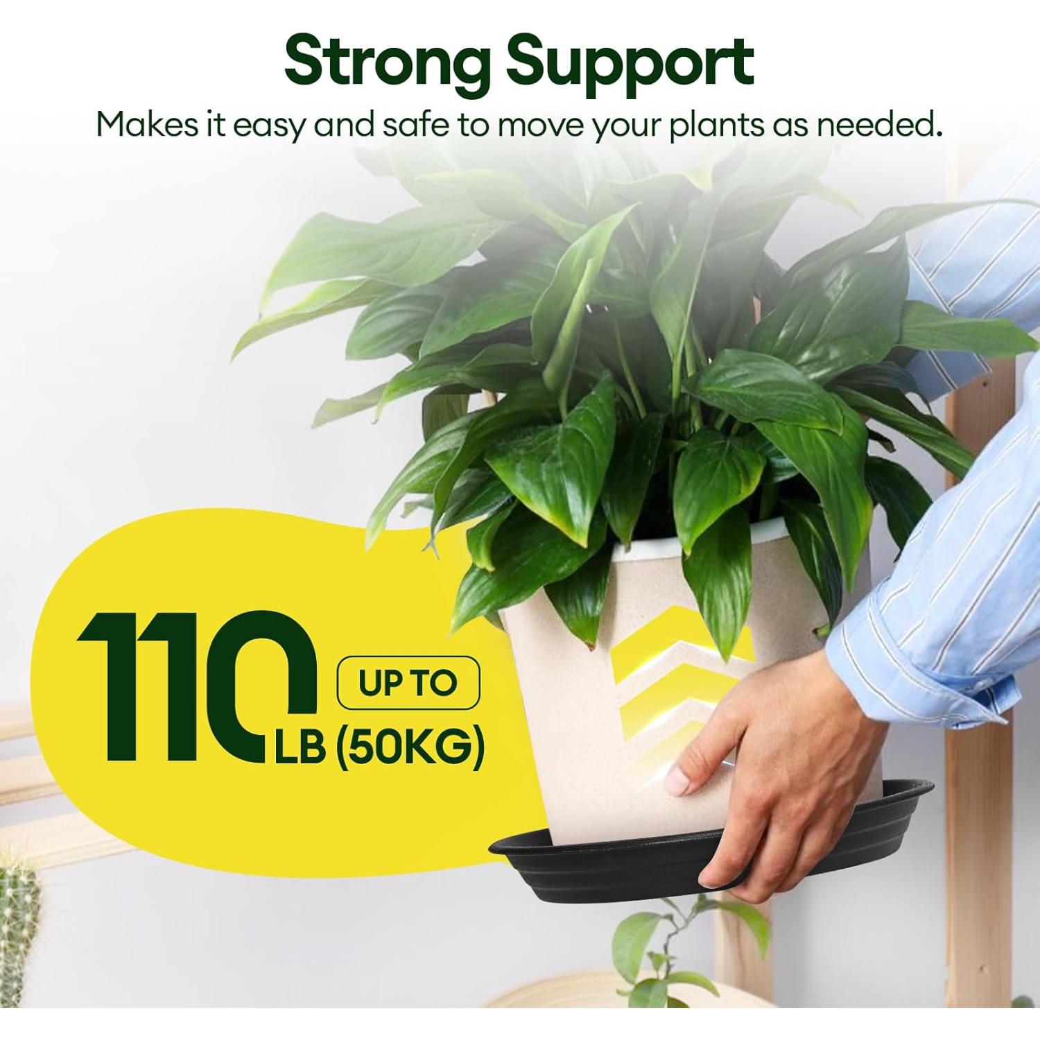 Paquete de 4 platos para plantas Maygrove 20 cm multicolor