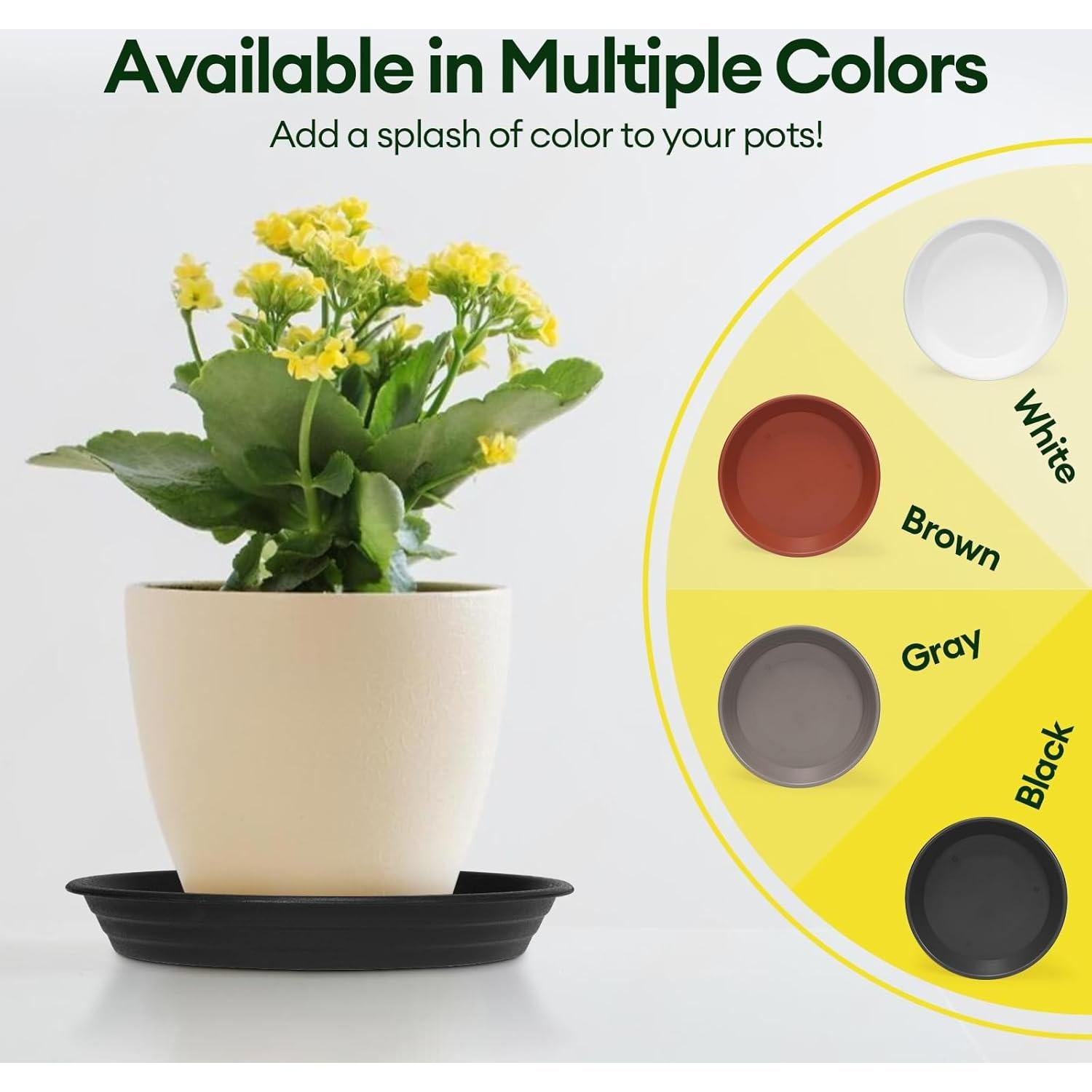 Paquete de 4 platos para plantas Maygrove 20 cm multicolor