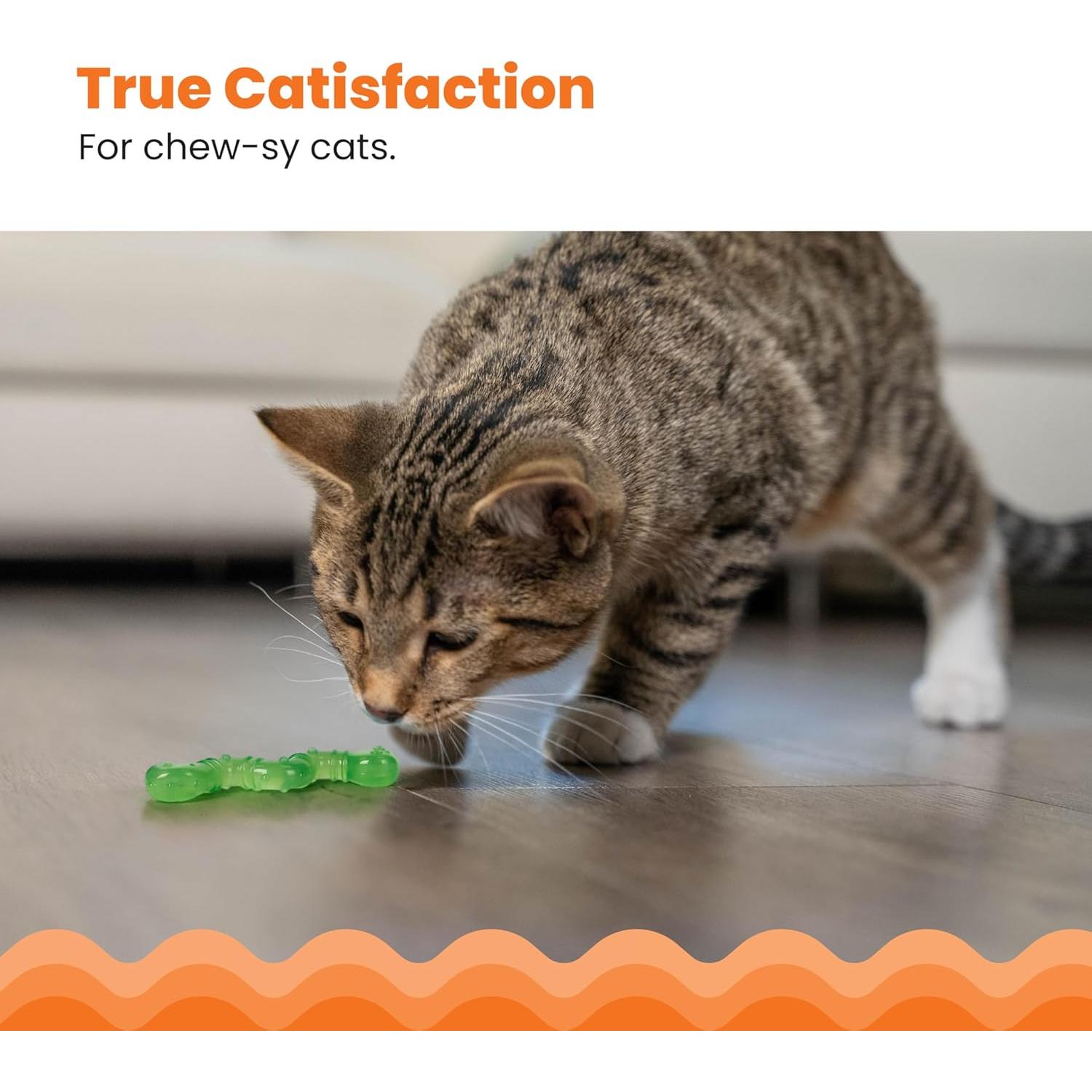 Juguete Masticable Petstages OrkaKat Gusano con Catnip