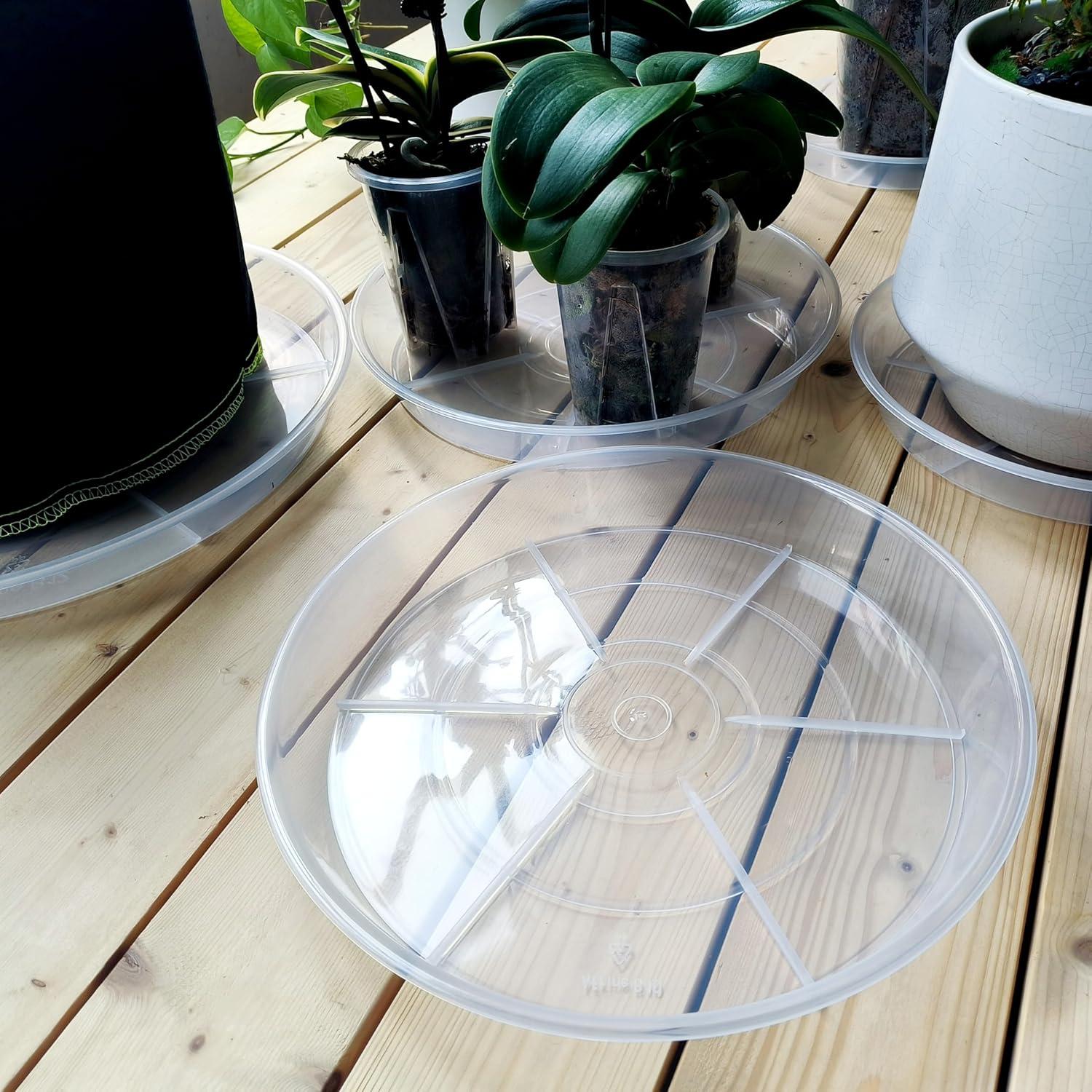 Plato de Drenaje para Plantas NIMYAU 15.24 cm Transparente 6 Pzas