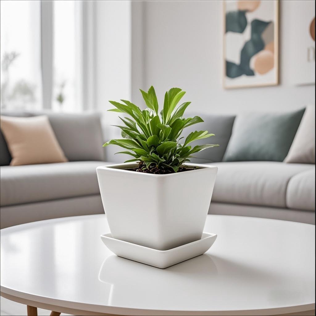 Plato Cuadrado para Plantas 15 cm Cerámica Blanca Saupotcer - 2 Piezas