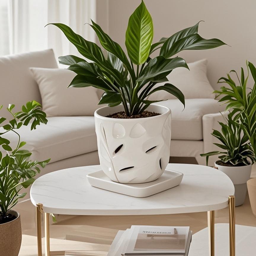 Plato Cuadrado para Plantas 15 cm Cerámica Blanca Saupotcer - 2 Piezas