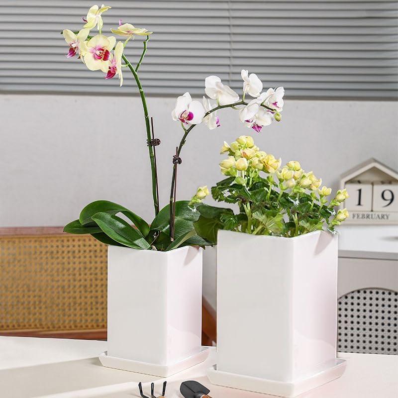 Plato Cuadrado para Plantas 15 cm Cerámica Blanca Saupotcer - 2 Piezas