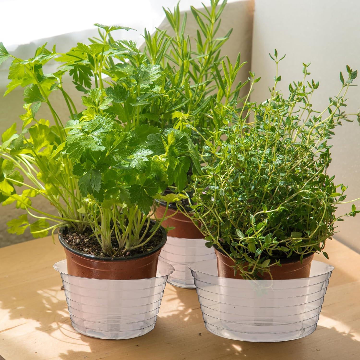 Bandejas de Goteo Profundas Hoolerry 15 Pcs 10-20 cm Plástico