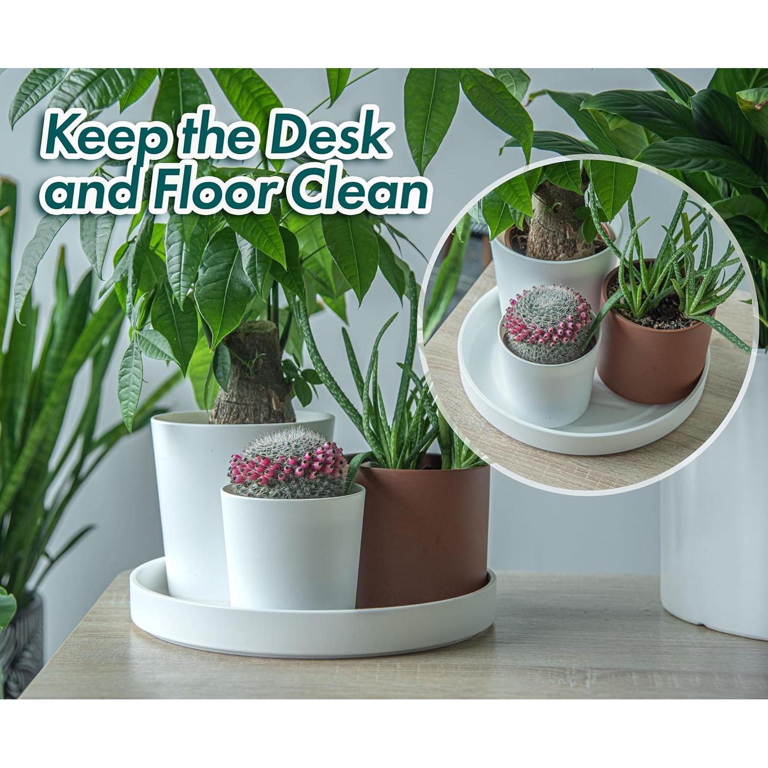 Plato de Planta Phoenix Vine 30.48 cm Blanco Mate con Drenaje