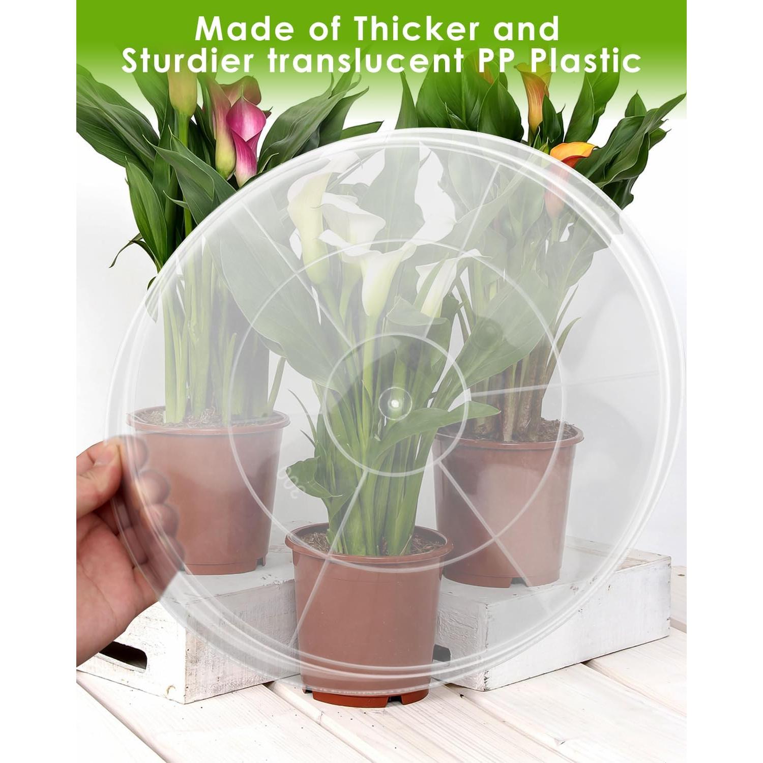 Bandeja para Maceta PACETAP 30 cm, Paquete de 5, Plástico Grueso