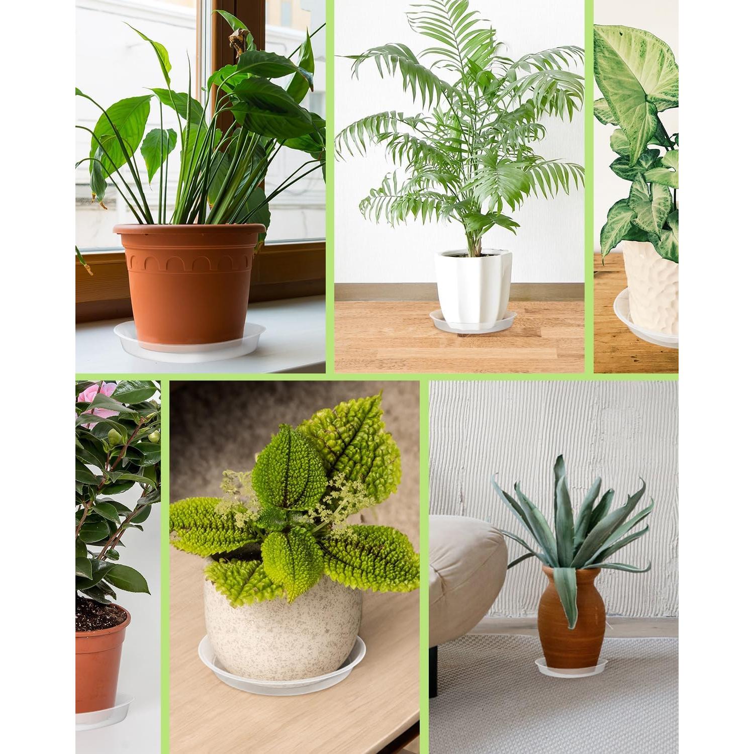 Bandeja para Maceta PACETAP 30 cm, Paquete de 5, Plástico Grueso