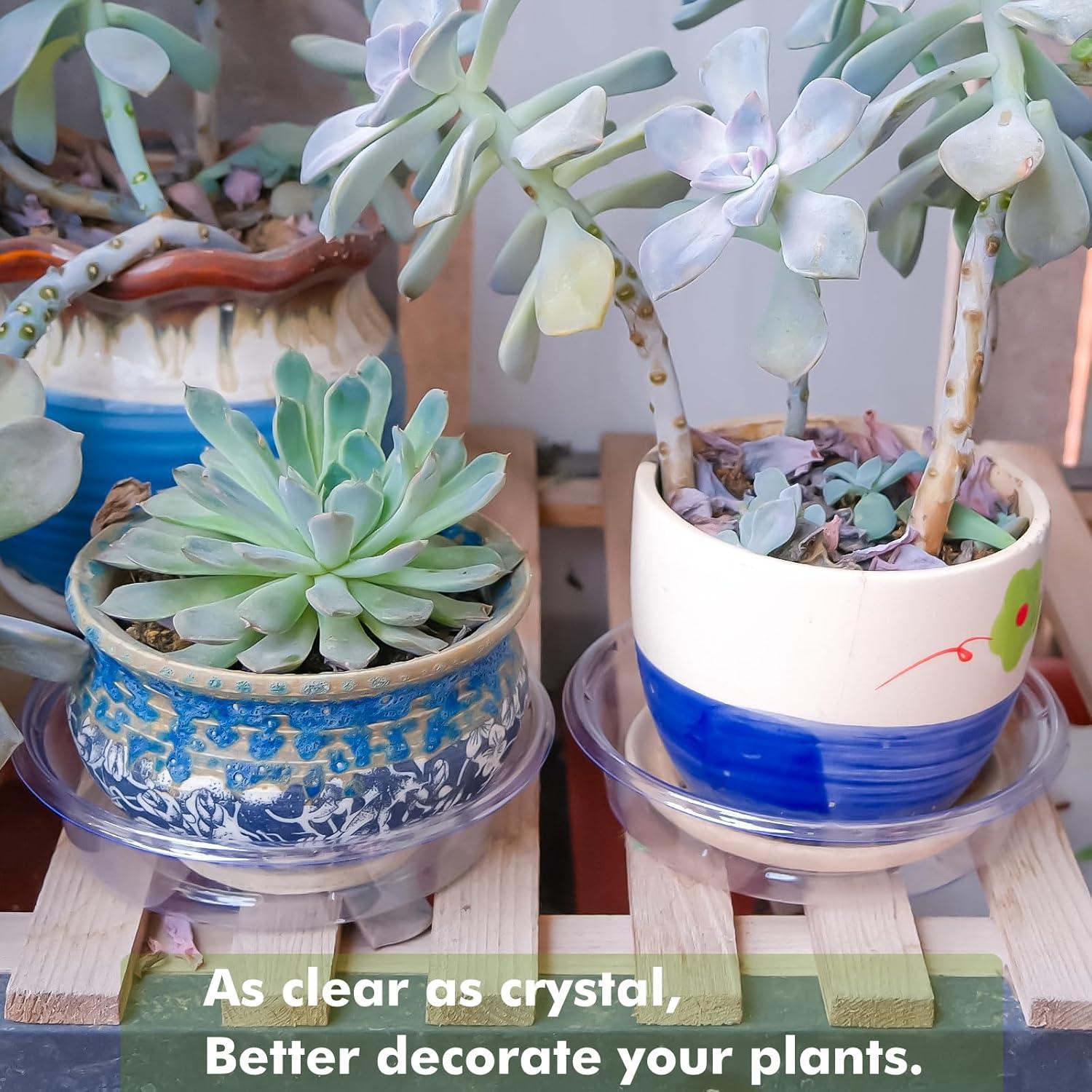 Platos para Plantas LUCPUR 15 cm - 50 Paquete Drenaje