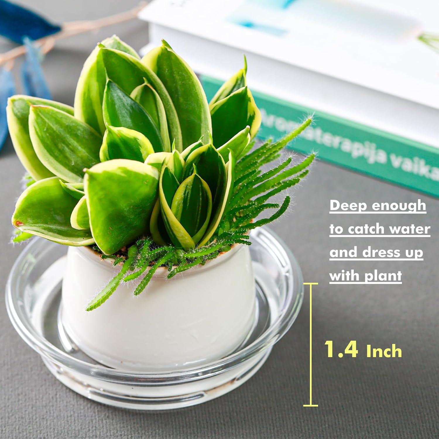 Platos para Plantas LUCPUR 15 cm - 50 Paquete Drenaje