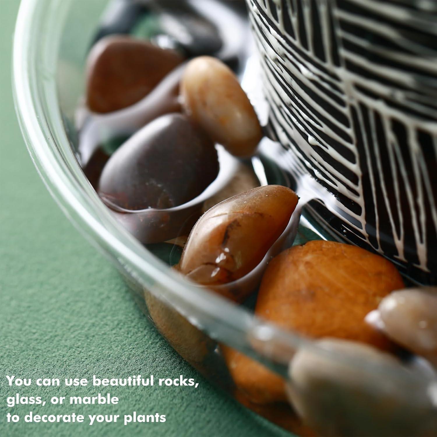 Platos para Plantas LUCPUR 15 cm - 50 Paquete Drenaje