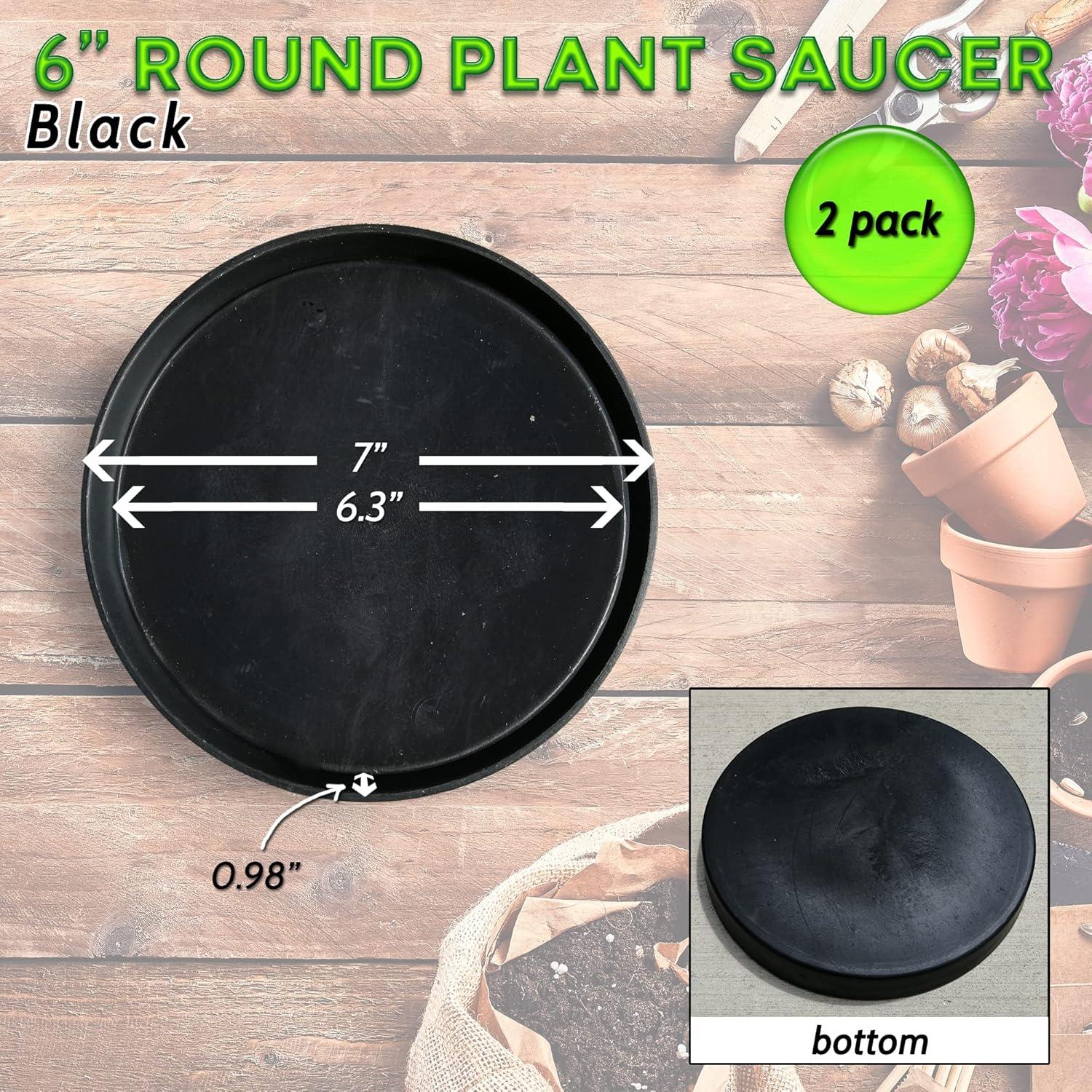 Charola Redonda Little Bear Peak 15.24 cm - Paquete de 2