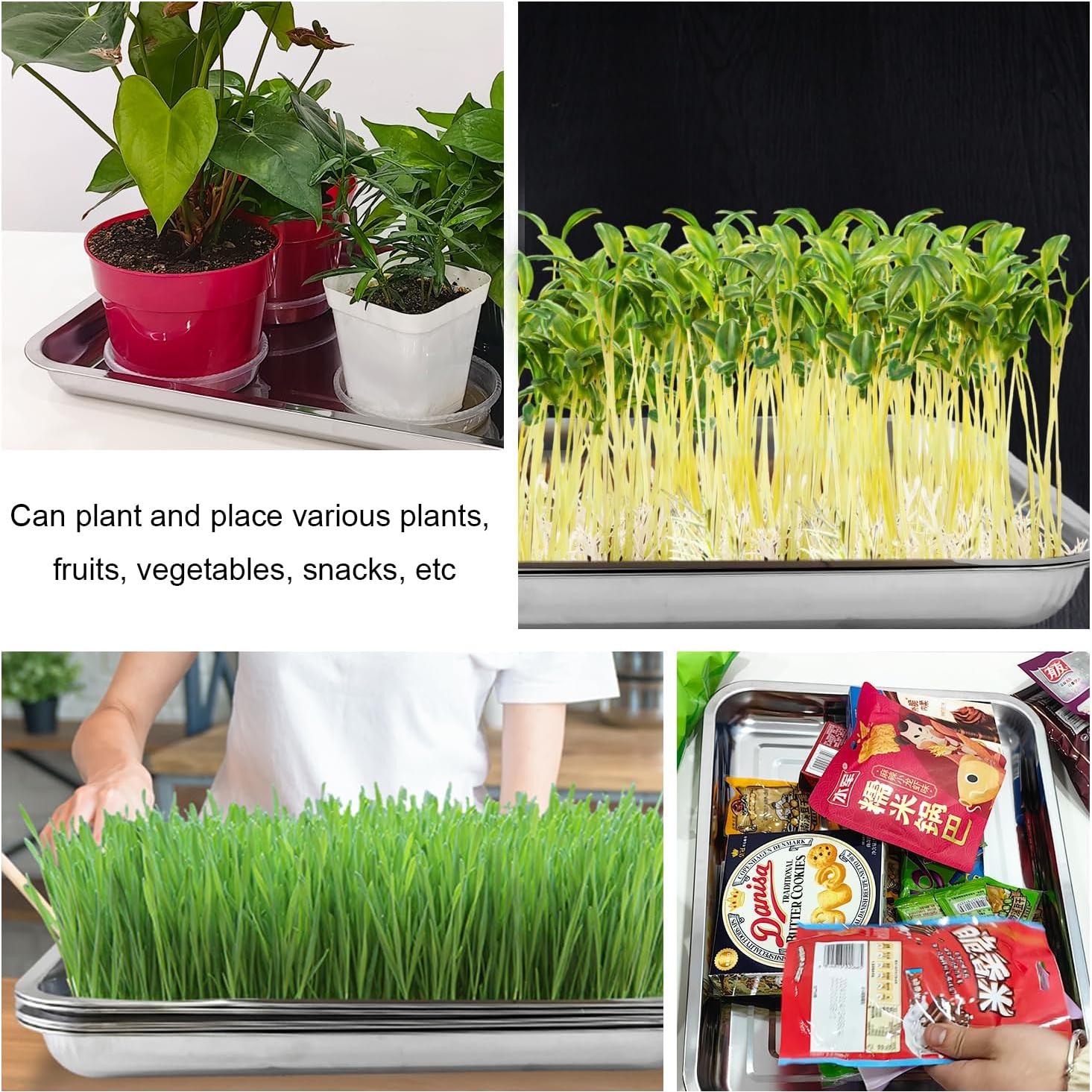 Paquete de 5 bandejas grandes de acero inoxidable RooTrimmer