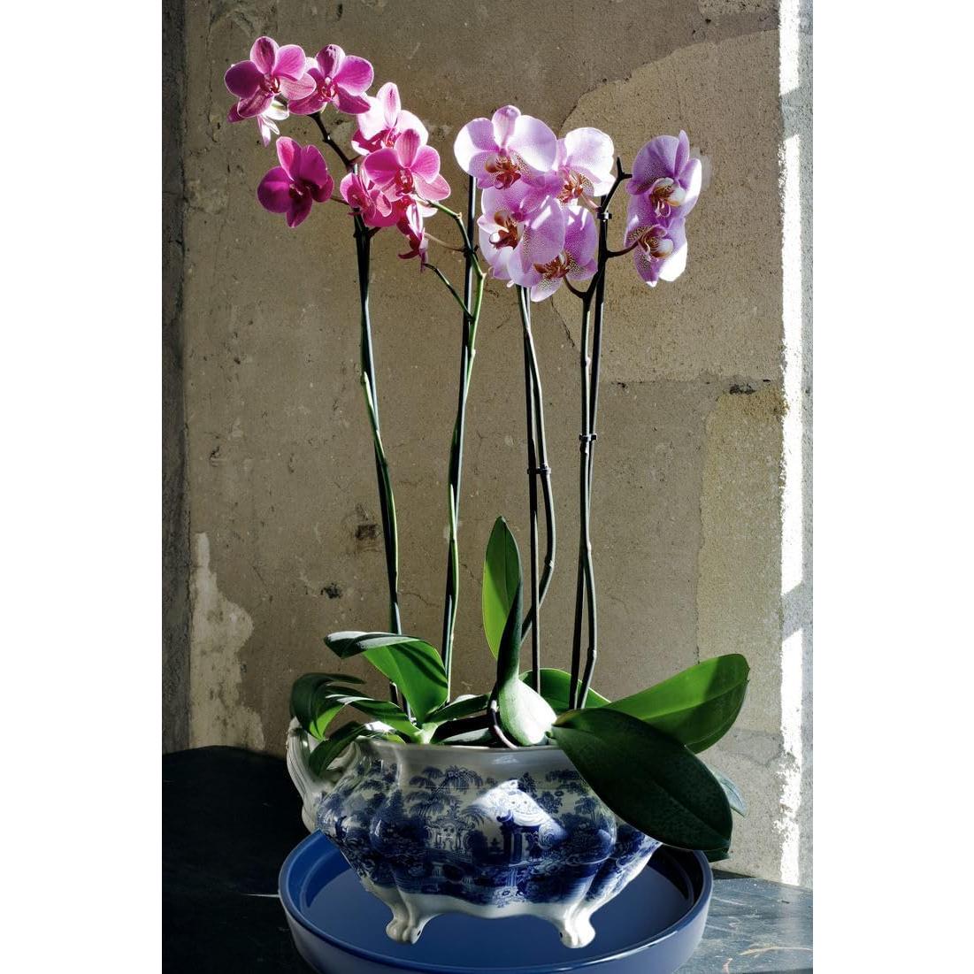 Plato de Cerámica Azul Yukfona 38 cm para Macetas