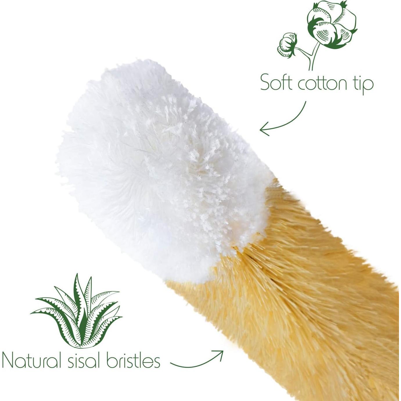 Juego de Cepillos Limpiadores de Botellas Bambaw - 4 Piezas