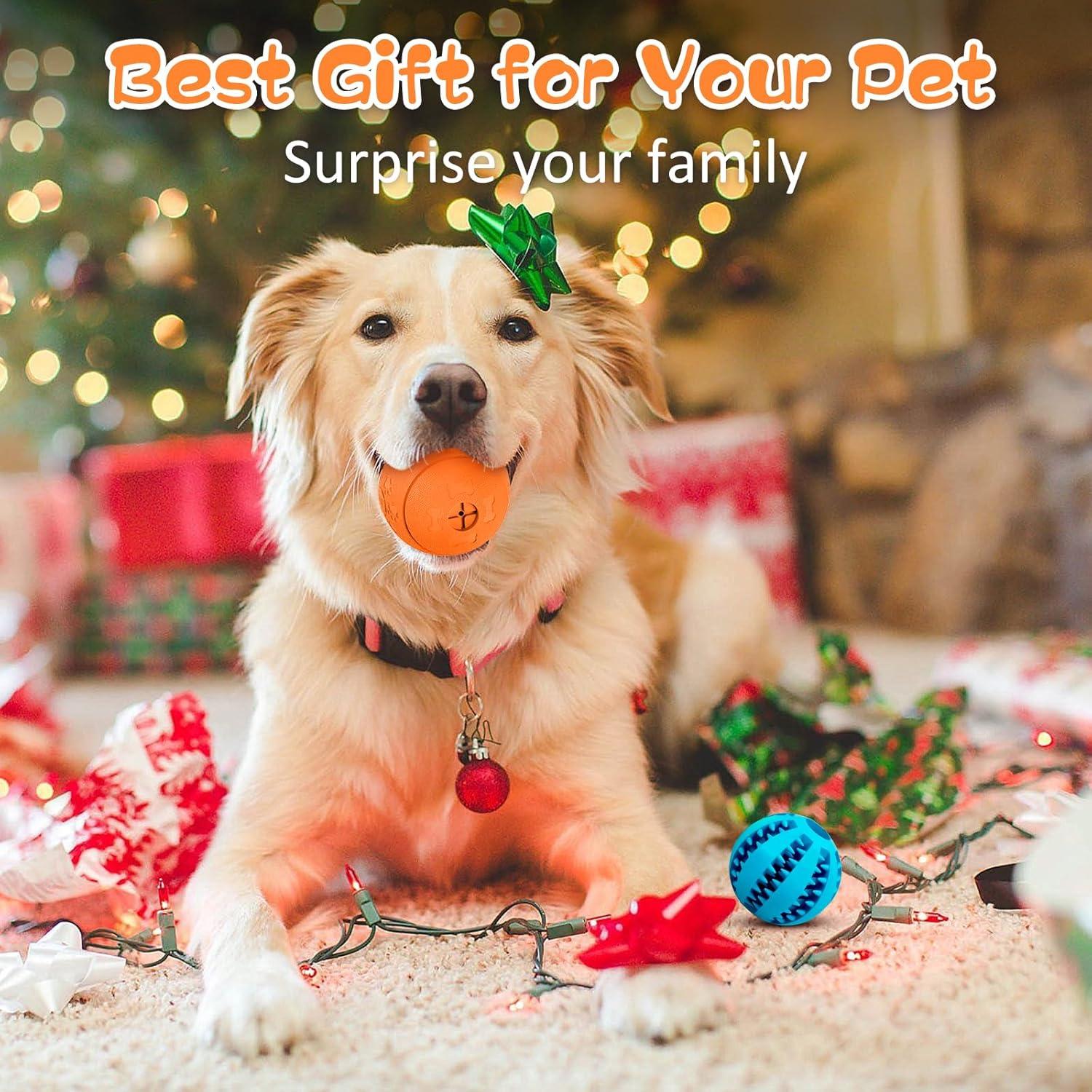 Juguetes Interactivos para Perros HIPPIH - 2 Pelotas Dispensadoras