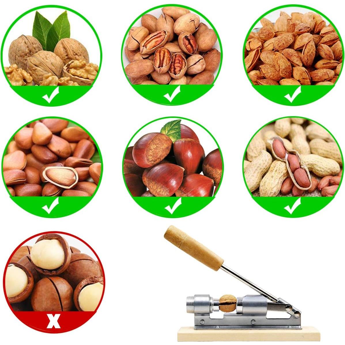 Cascanueces de Pecan Artcome con Base de Madera y 4 Picos