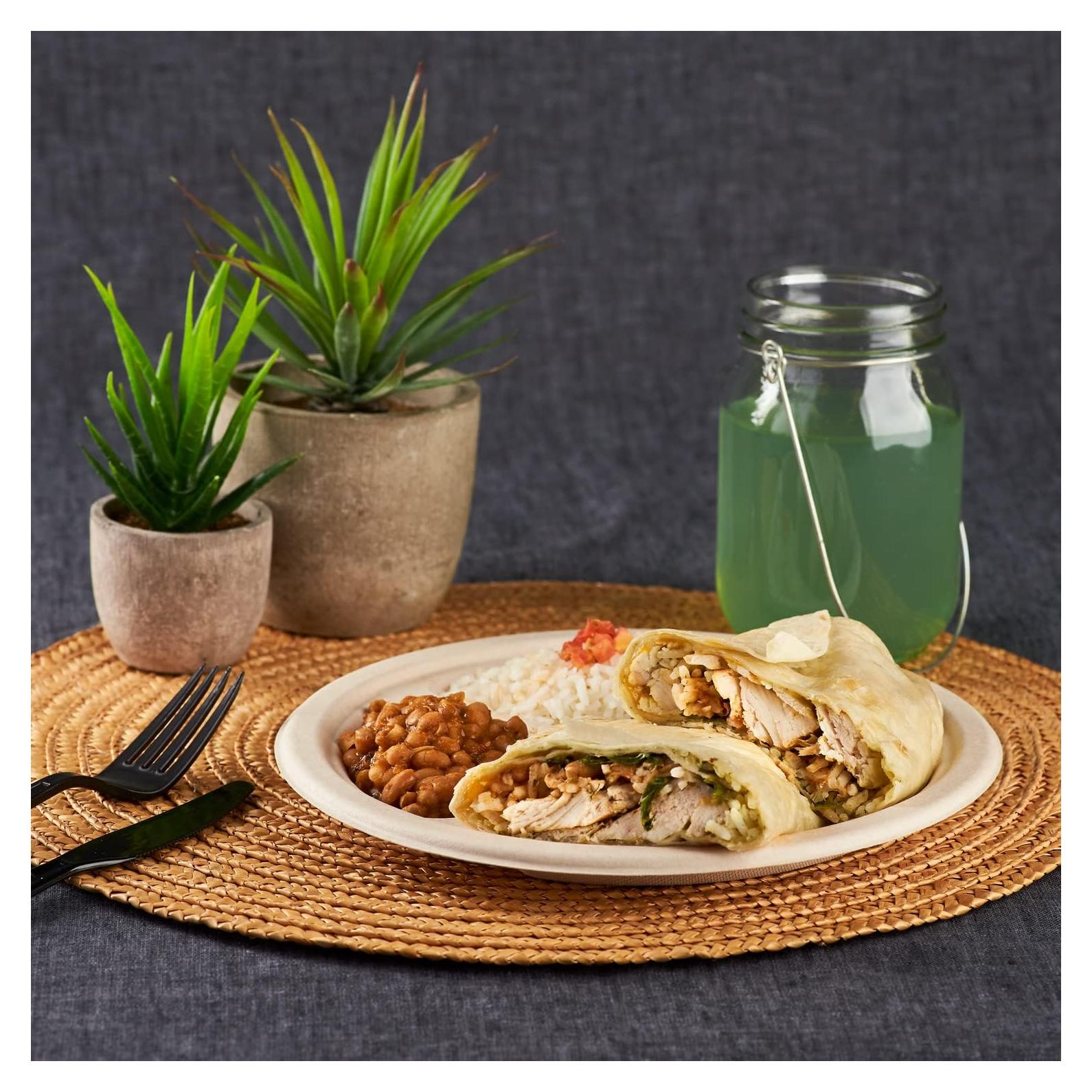 Platos Compostables Karat Earth 9" - Biodegradables, 500 Unidades