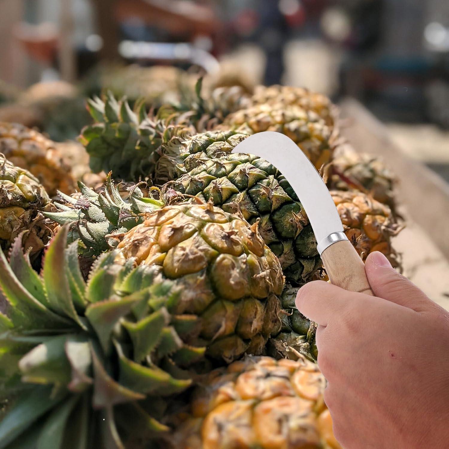 Cortador multifuncional de frutas y verduras Abaodam 17.6 cm