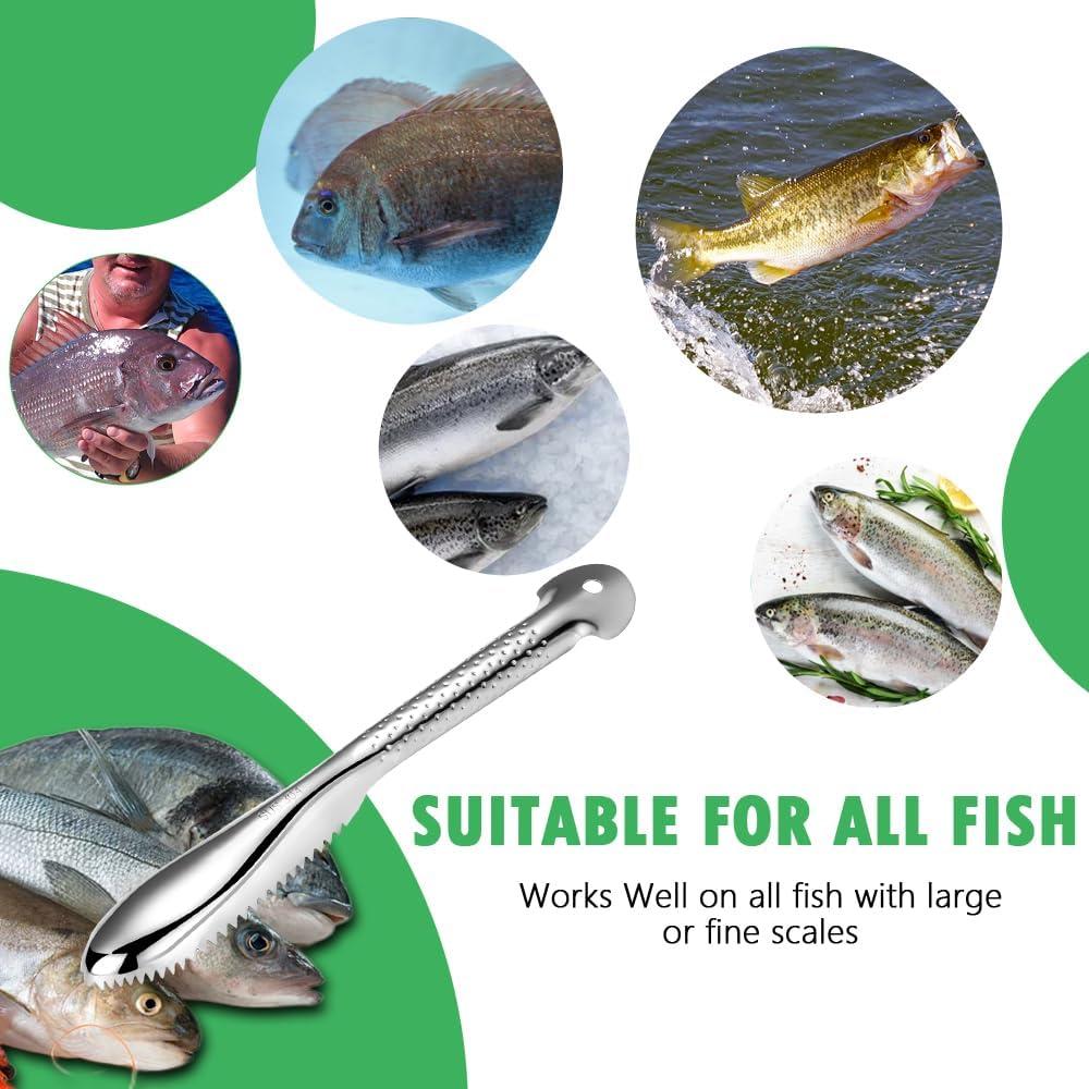Removedor de Escamas de Pescado OneNine, Acero Inoxidable, 2 Piezas