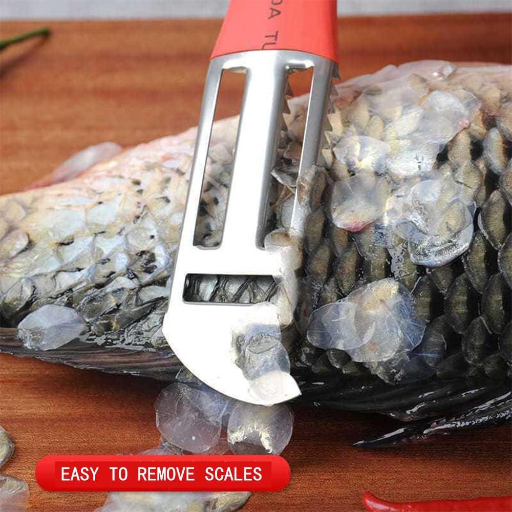 Removedor de Escamas de Pescado 6KTOOOLS Acero Inoxidable