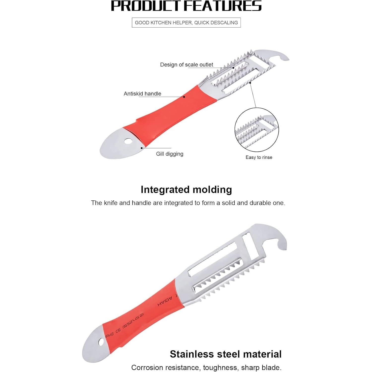 Removedor de Escamas de Pescado 6KTOOOLS Acero Inoxidable