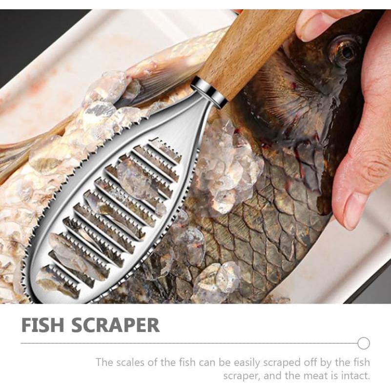 Cepillo Quitapescas Acero Inoxidable PACKOVE 21.5 cm