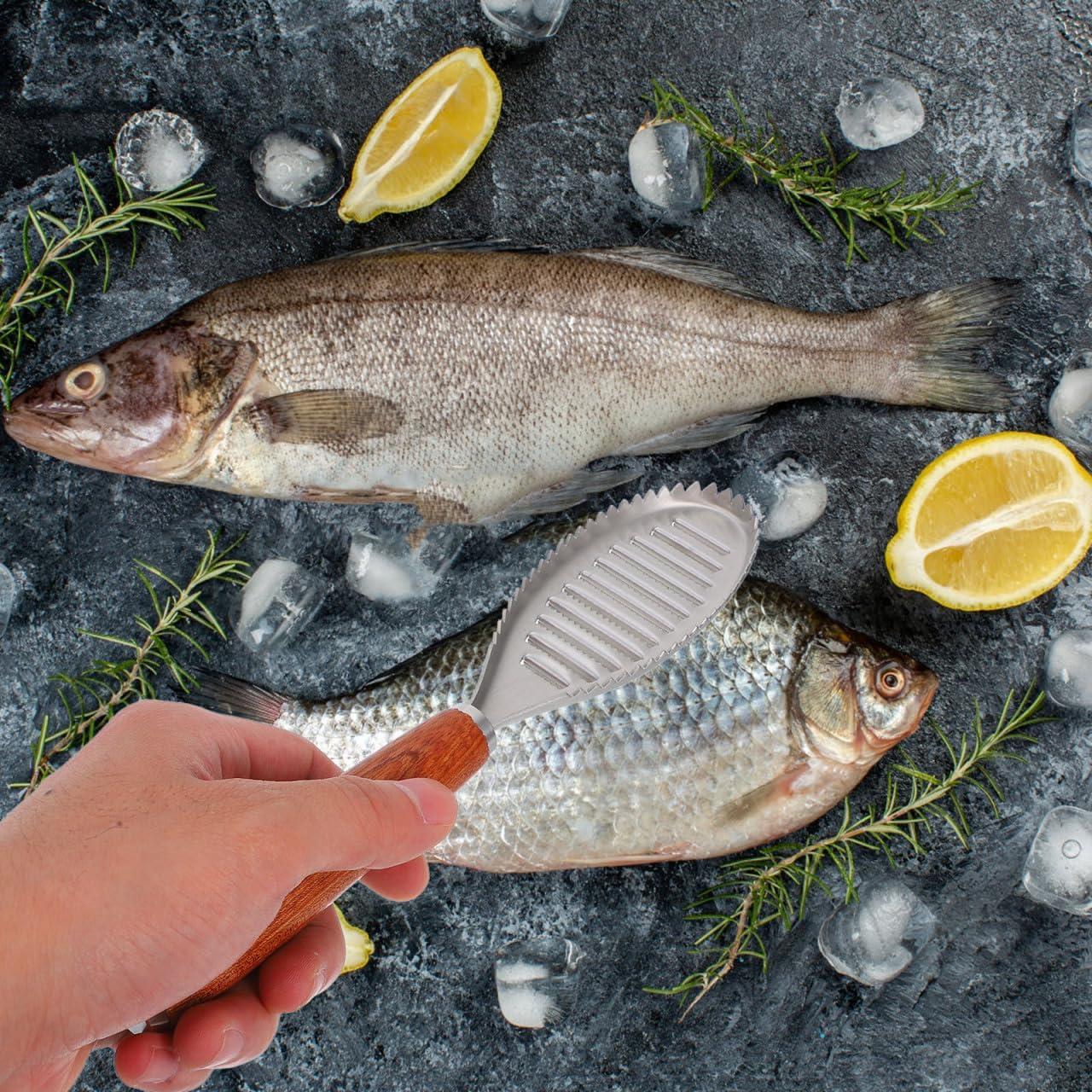 Cepillo Quitapescas Acero Inoxidable PACKOVE 21.5 cm