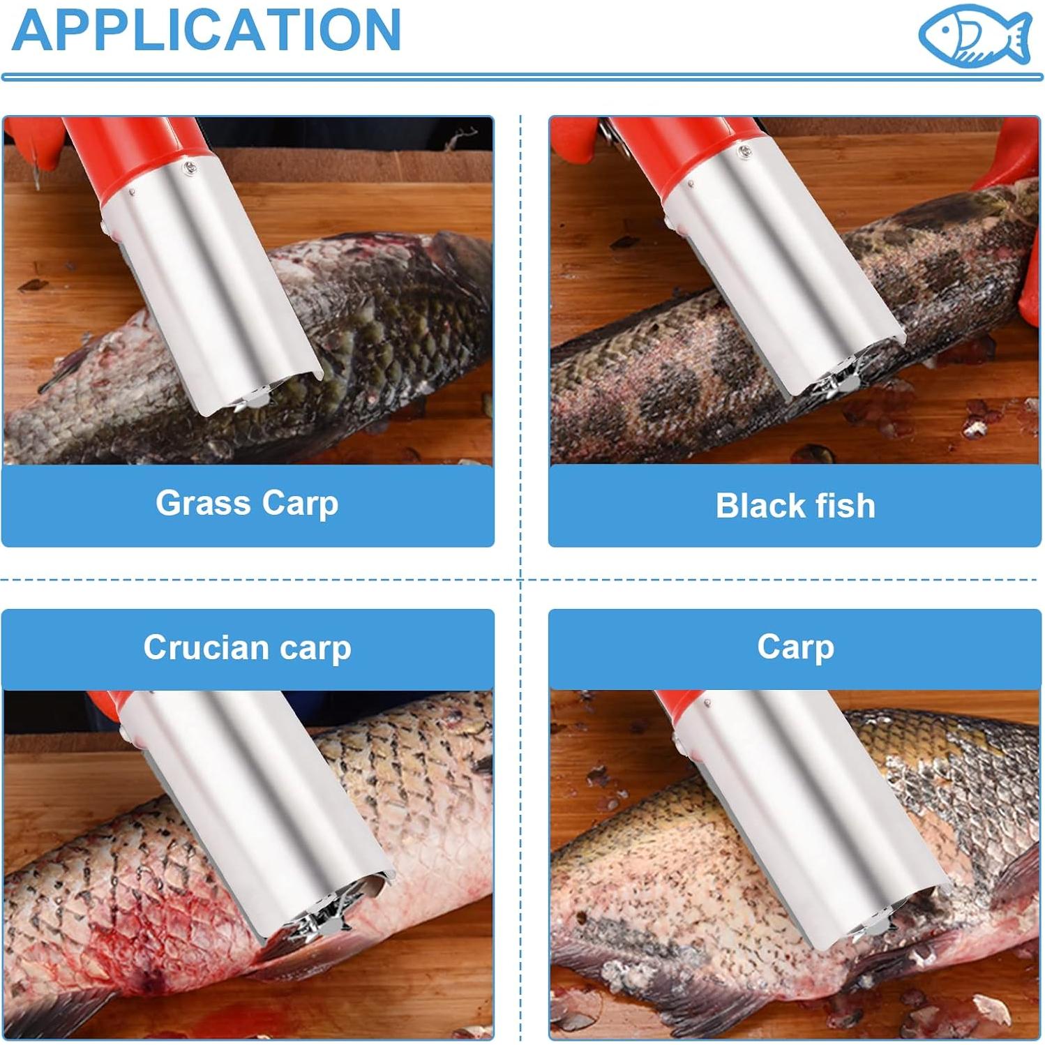 Removedor de Escamas de Pescado Eléctrico MXBAOHENG 2000mAh