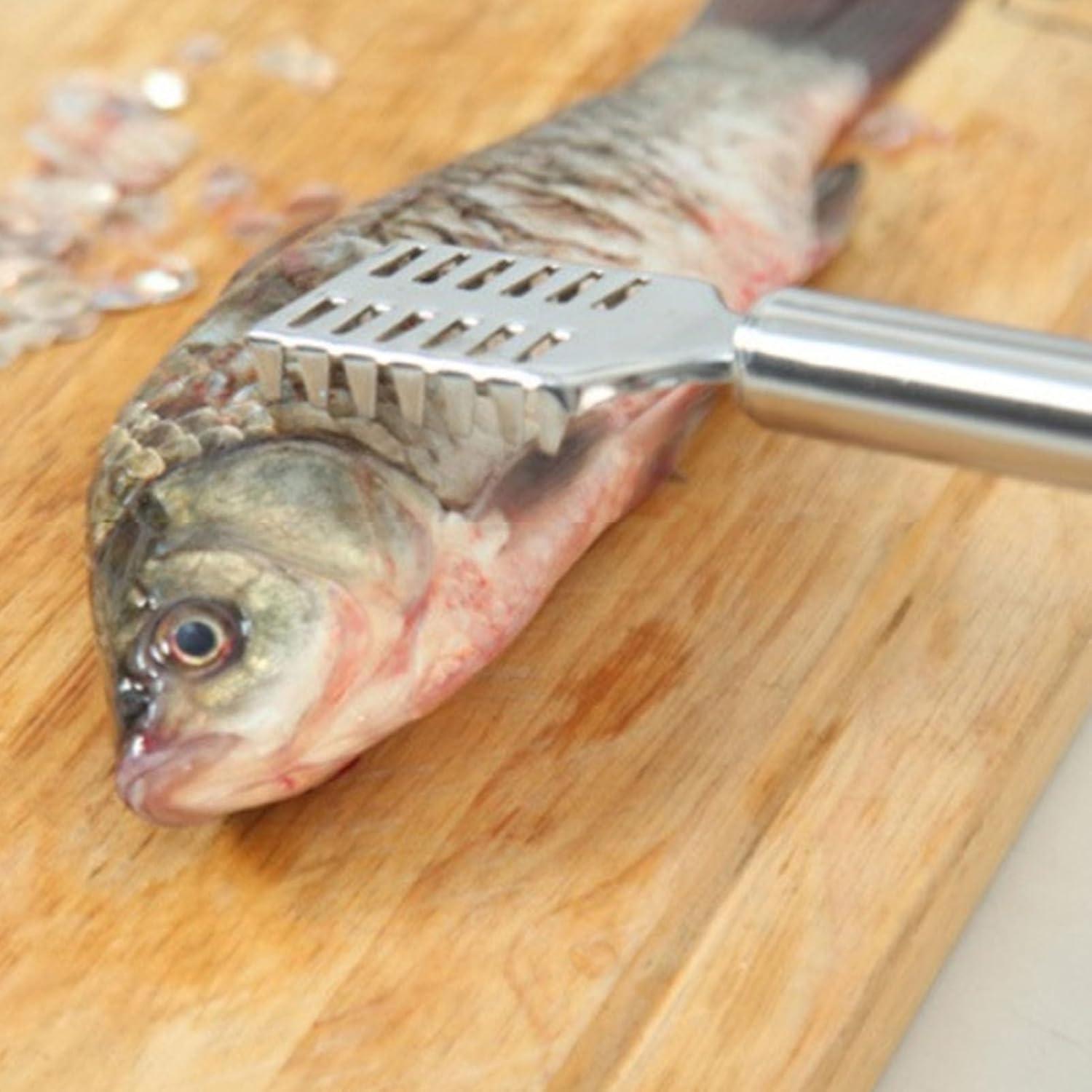 Removedor de Escamas de Pescado Sunicon de Acero Inoxidable