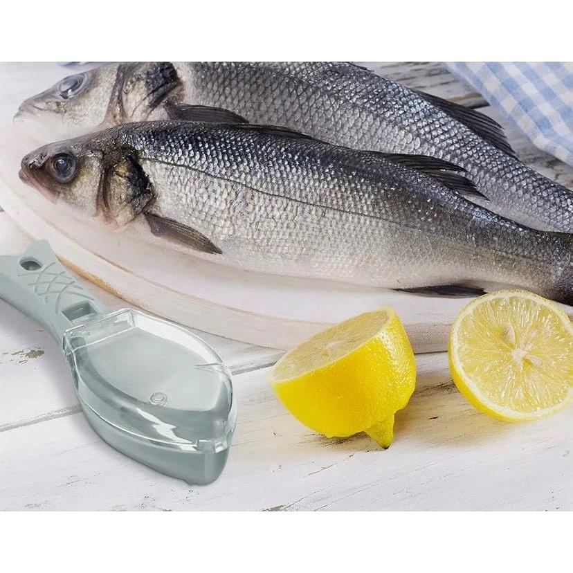 Removedor de Escamas de Pescado Genérico - Raspador de Cocina