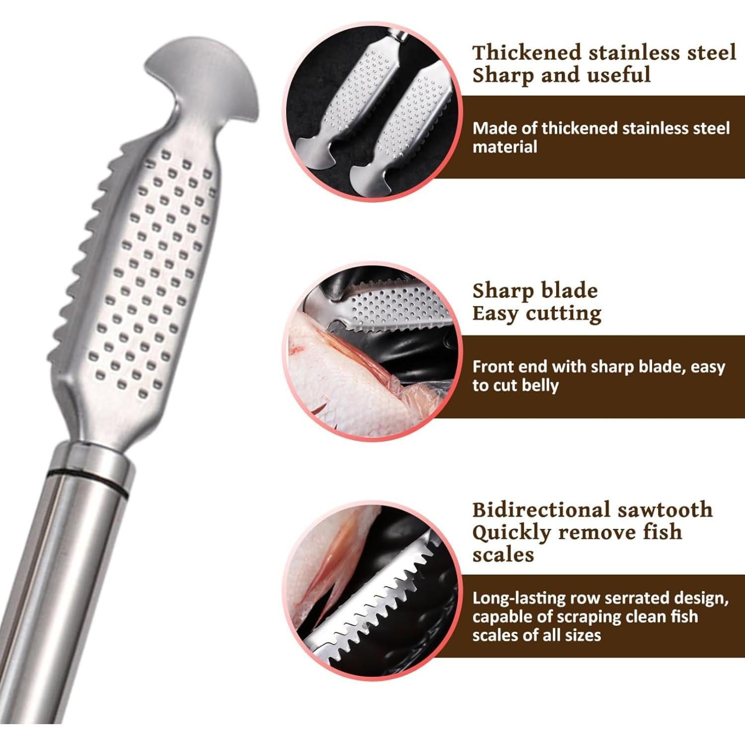 Removedor de Escamas de Pescado ZANWANXIN Acero Inoxidable 23cm