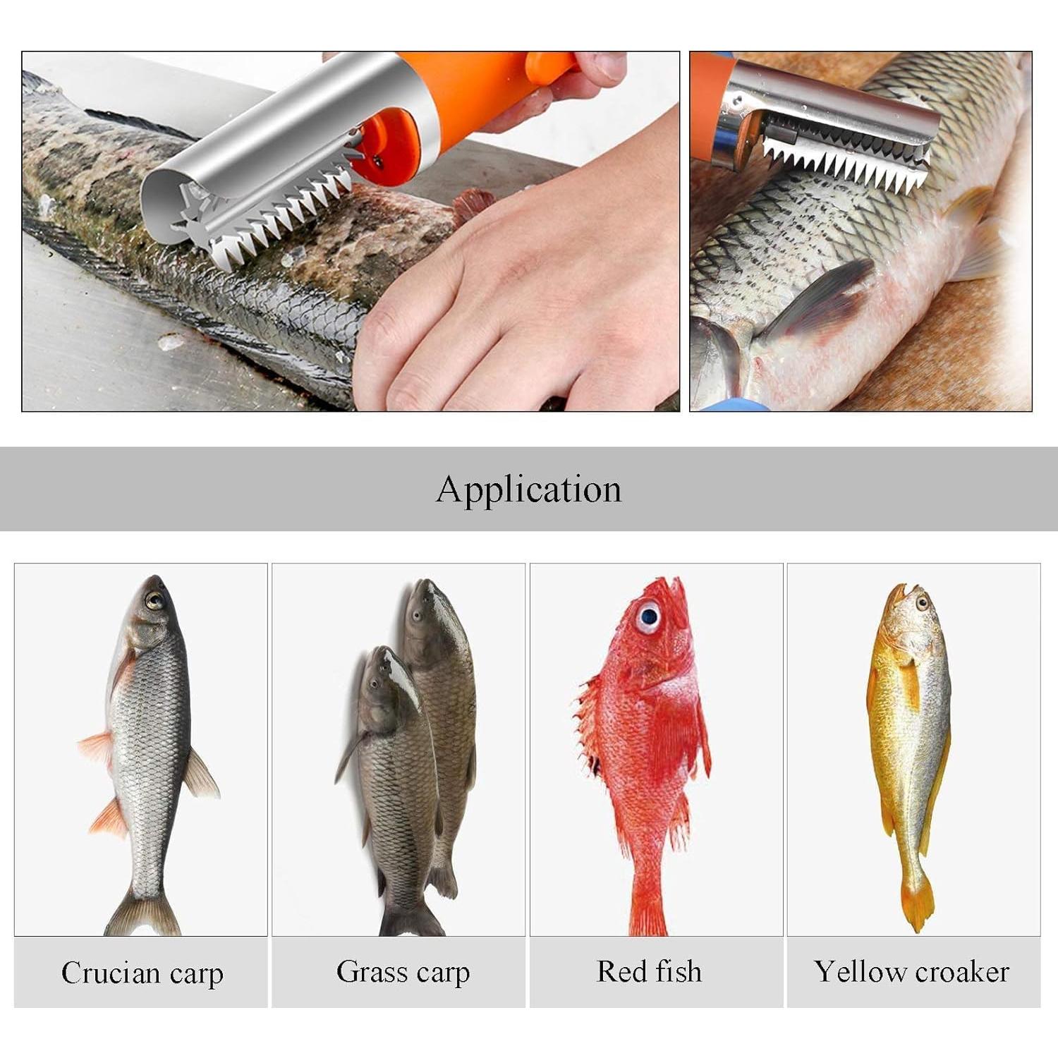 Rascador de Pescado Eléctrico MXBAOHENG YLQ-002 2200mAh