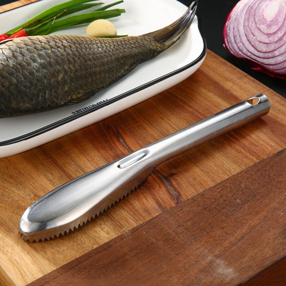 Herramienta Quitadora de Escamas de Pescado Milisten 2 Pcs