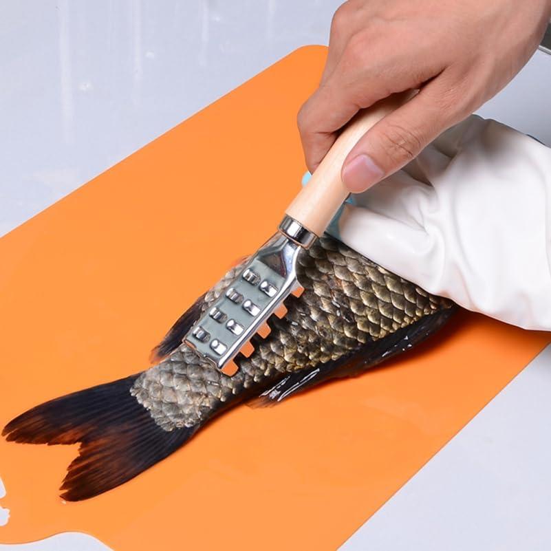 Raspador de Escamas de Pescado Acero Inoxidable Ergonomico