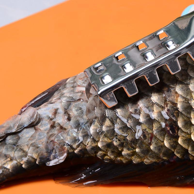 Raspador de Escamas de Pescado Acero Inoxidable Ergonomico