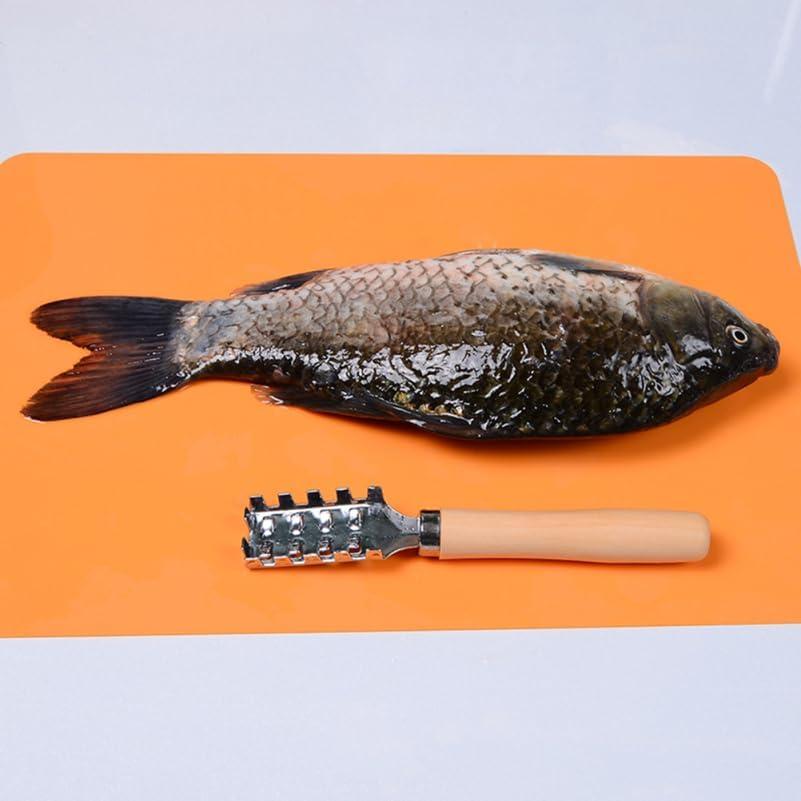 Raspador de Escamas de Pescado Acero Inoxidable Ergonomico