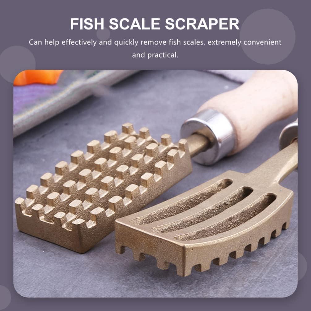 Herramienta Limpiadora de Piel de Pescado Hemoton 20cm Mango Antideslizante