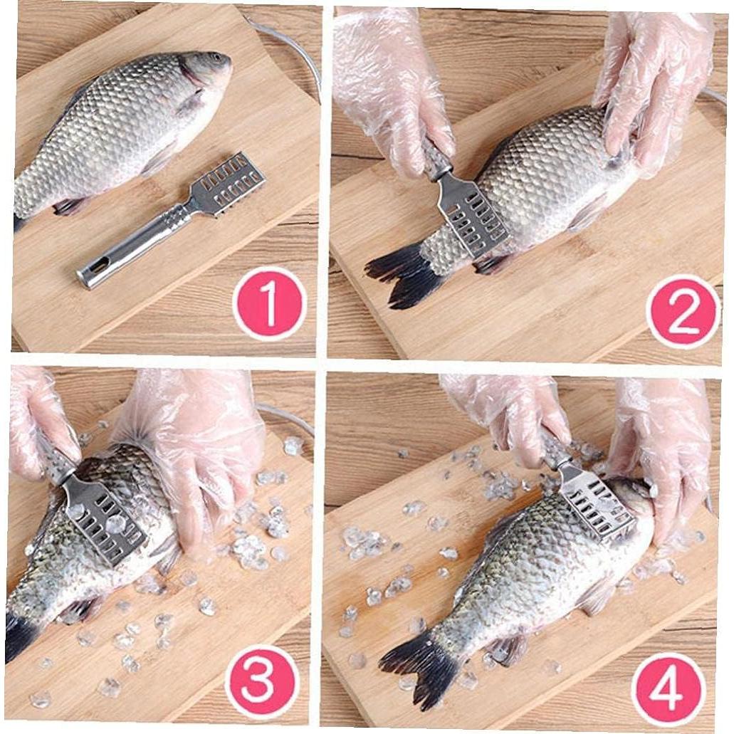 Removedor de Escamas de Pescado Froiny de Acero Inoxidable 20cm