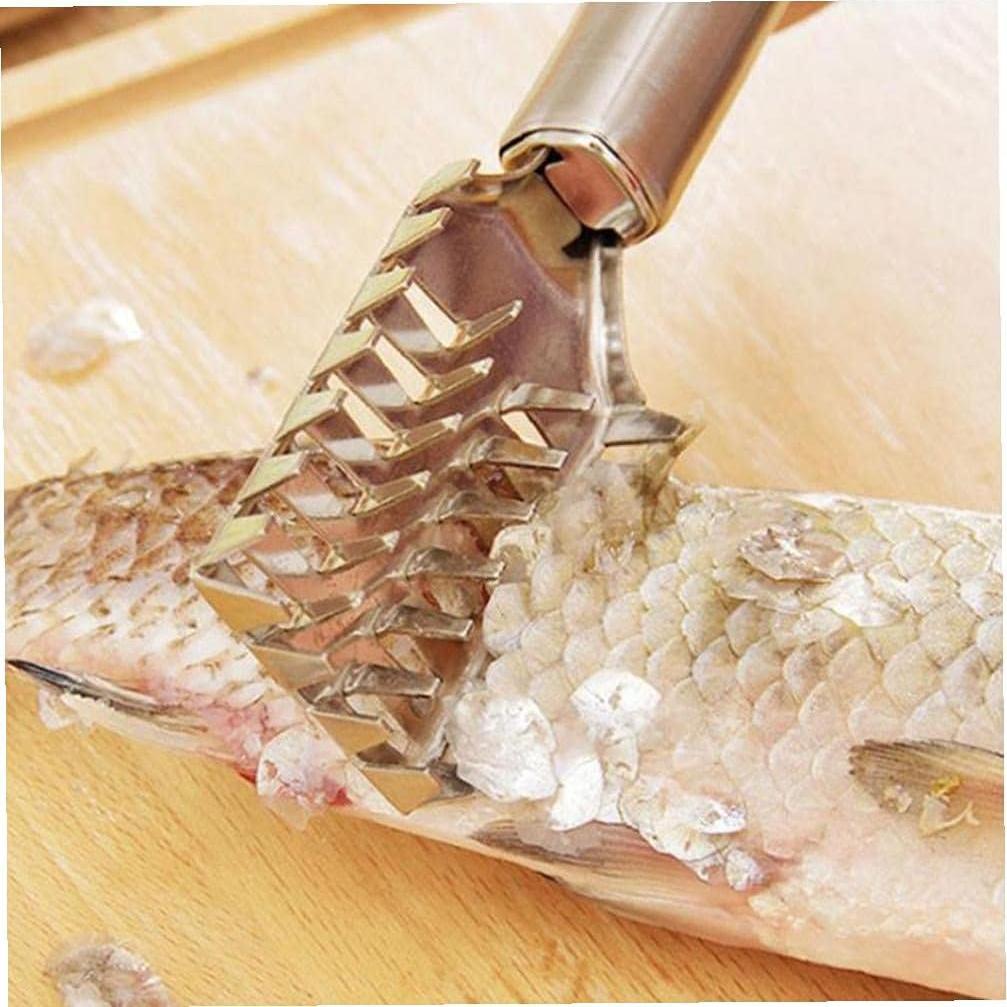 Removedor de Escamas de Pescado Froiny de Acero Inoxidable 20cm